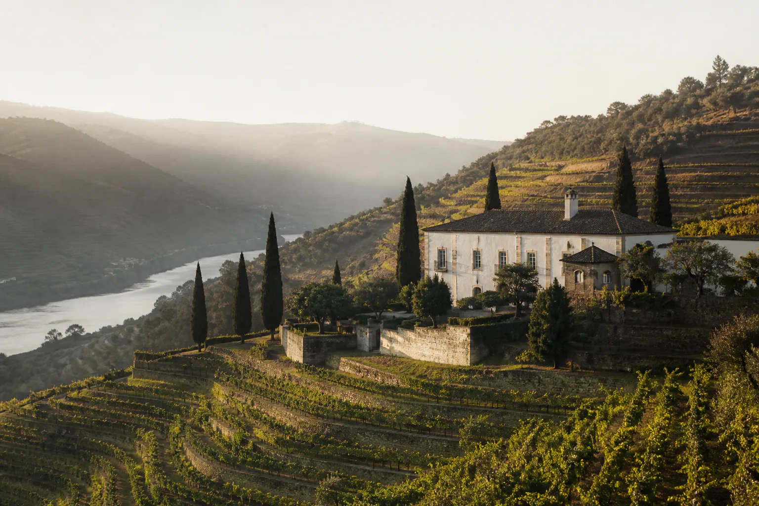 Quinta entre as vinhas e o rio Douro, ao nascer do dia